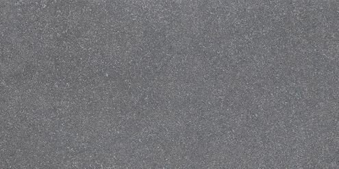 BL36BLP_1