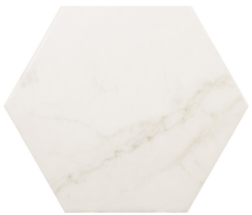 CA17CA_1