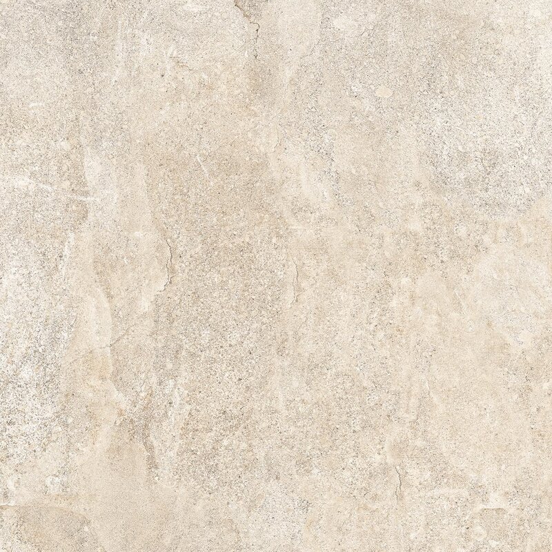 CS60ALP_1