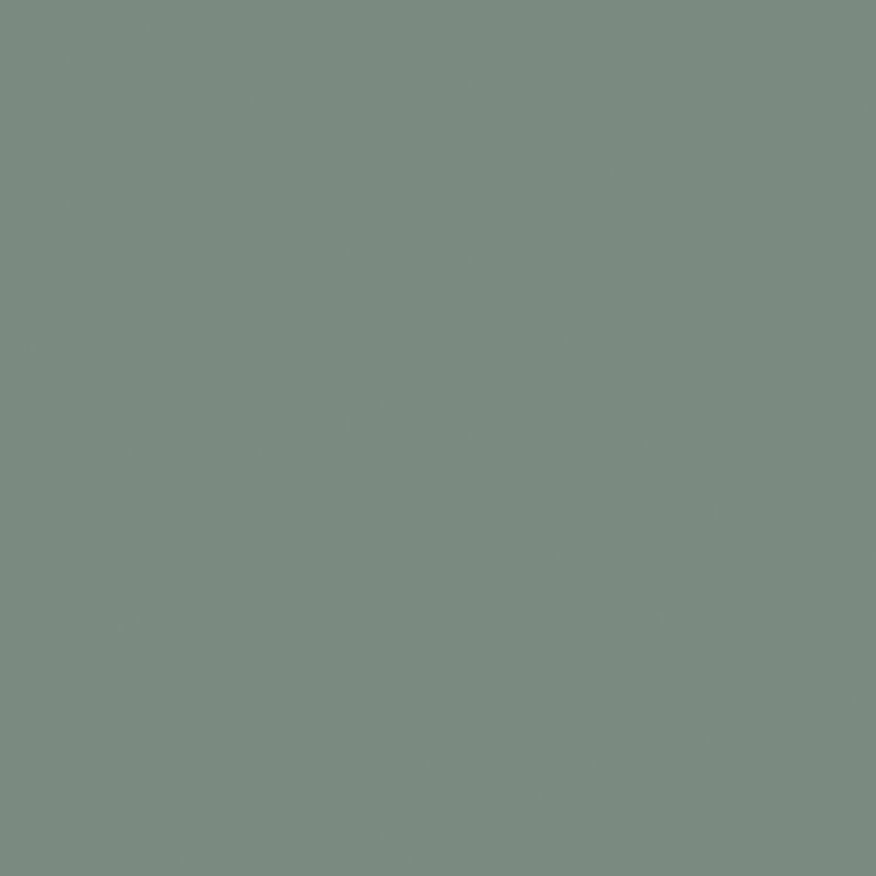 FIF15OLI_1