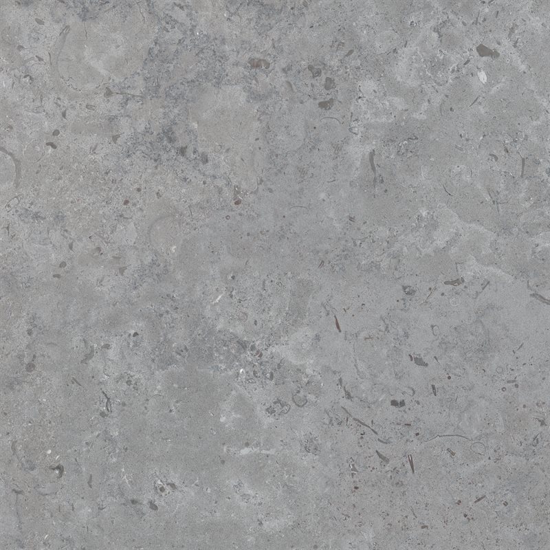 Gotland Grey