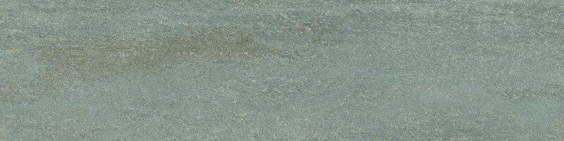 OPP42BE_1