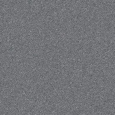 PA20ANC_1