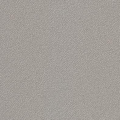 PA20MGC_1