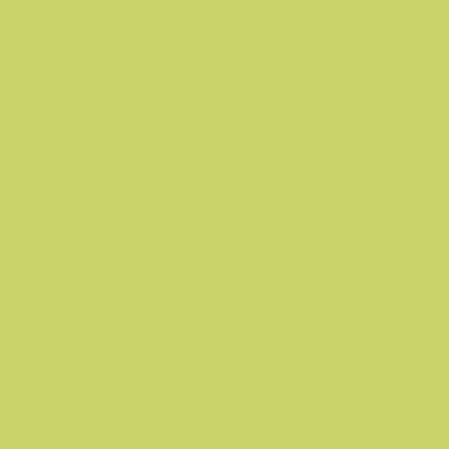 PC1505B_1