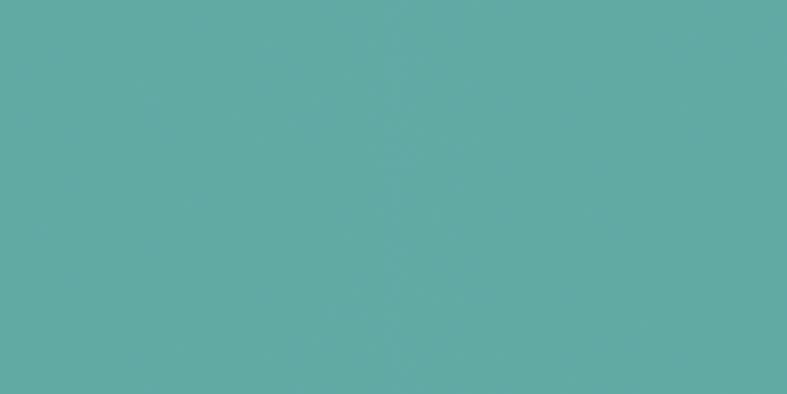 PC4009B_1