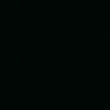 PF1013B_1