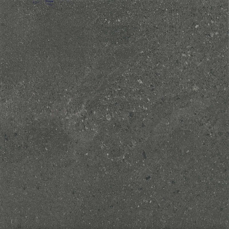 PM20AN_1