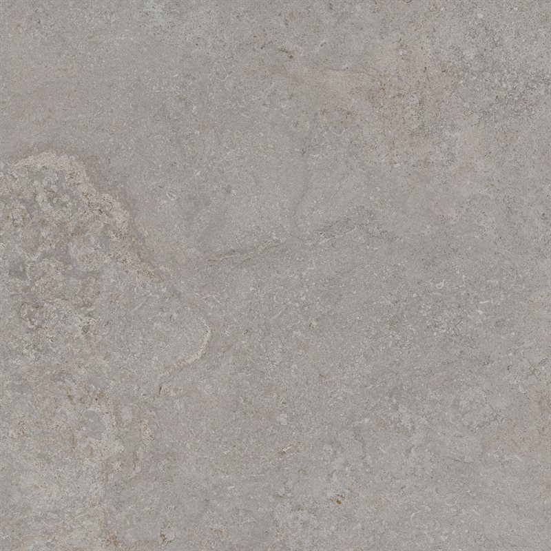 Pro Portland Grey/Silver