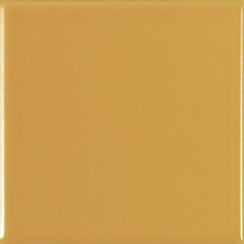 PR10OCM_1