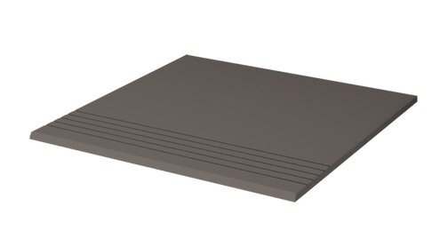 PS31DG_1