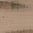 PW15DB_1