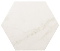 CA17CA_1