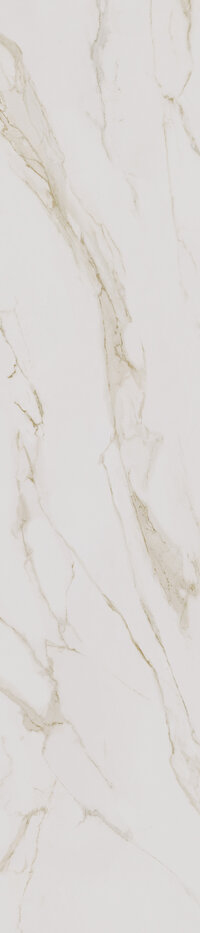 CESPC060004_1