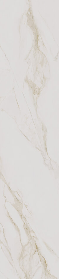 CESPC060004_2
