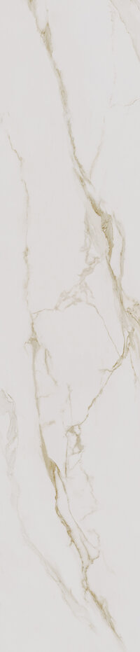 CESPC060004_3