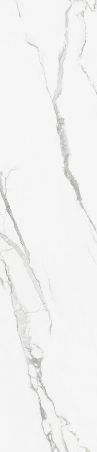 CESPC060006_2