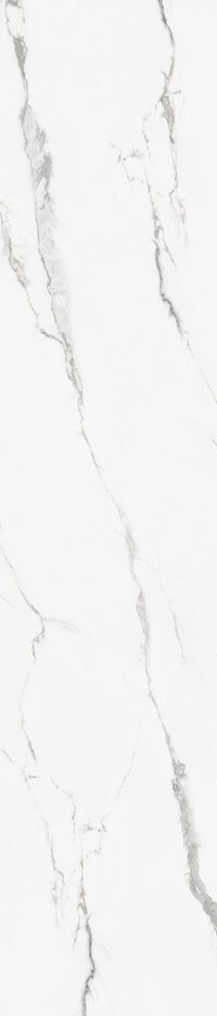 CESPC060006_3