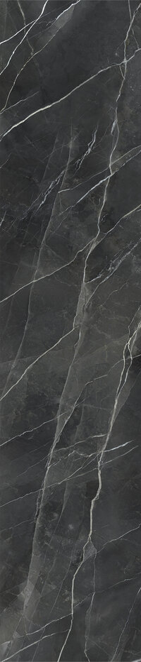 CESPC060008_1