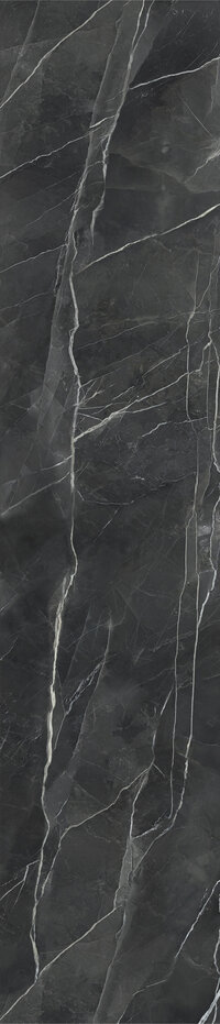 CESPC060008_3