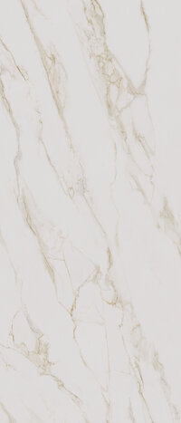 CESPC120002_3