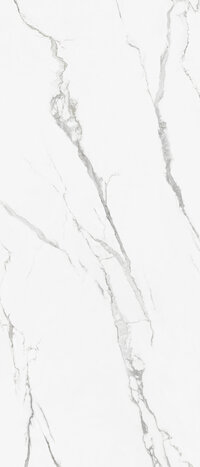 CESPC120004_1