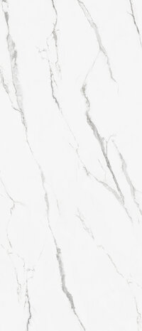 CESPC120004_2