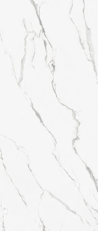 CESPC120004_3