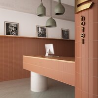 COSY_TER_1