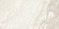 EVO36MOP_1
