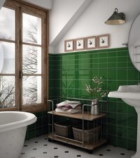 EVOL_GREEN_1