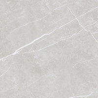 LID66SILP_1